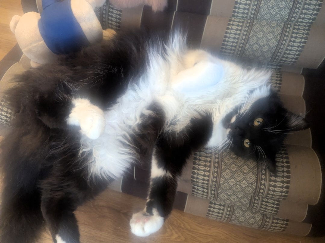 Leo relaxing