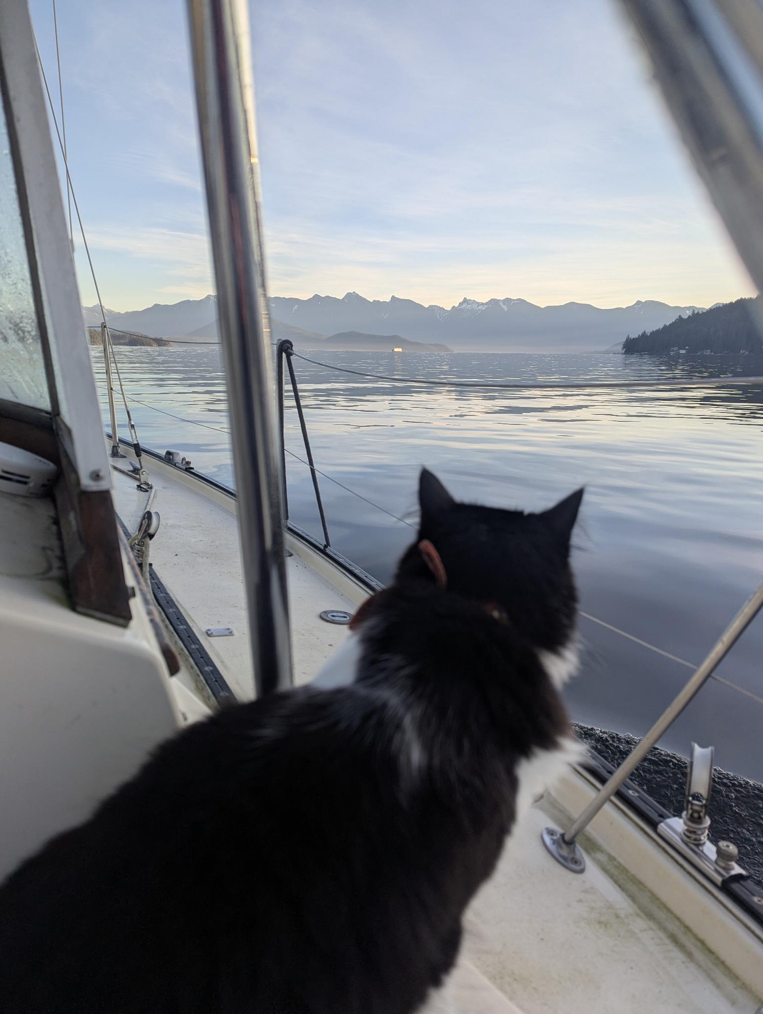 Leo on a sailboat at dawn, gazing out at the mountains and water