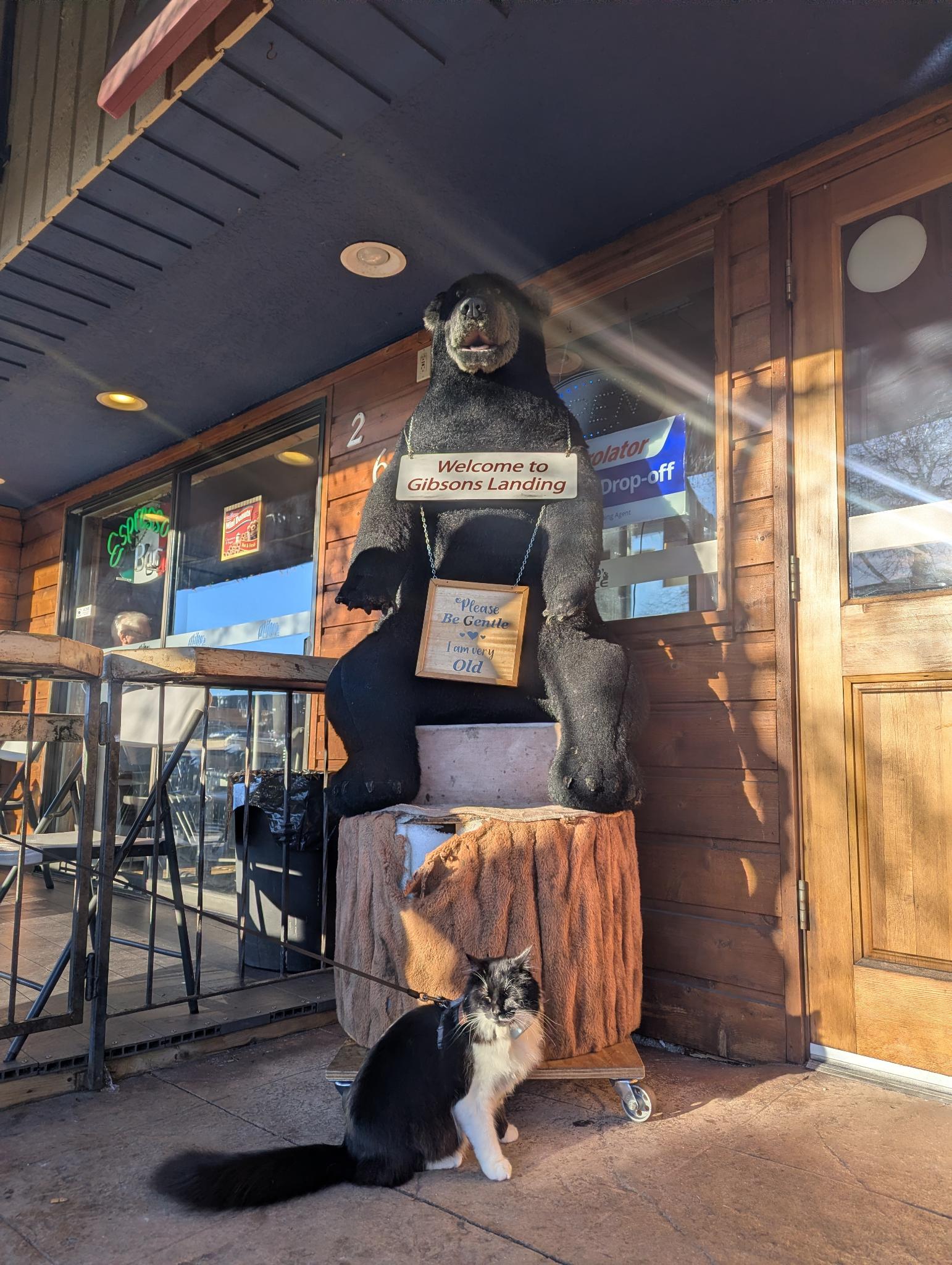 Leo exploring Gibsons Landing, posing beside the carved bear
