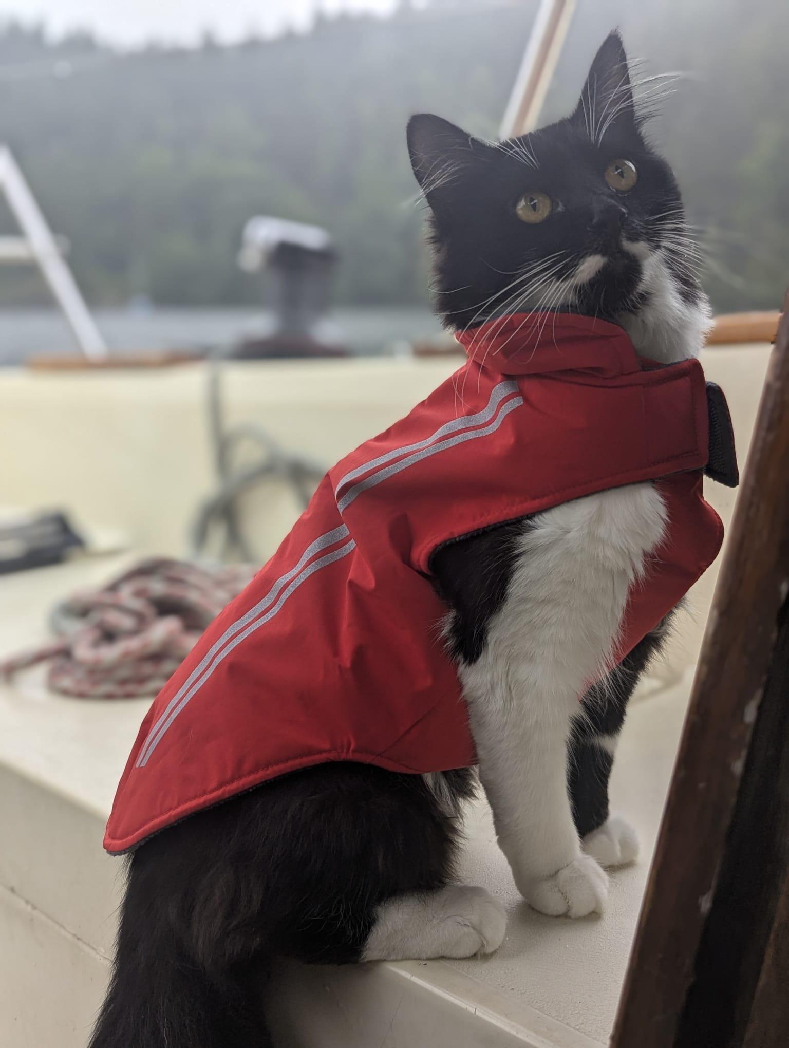 Leo in his red life jacket, ready for a boat adventure